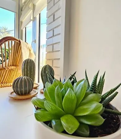 شقة Boho Arenal Bol كاليبي