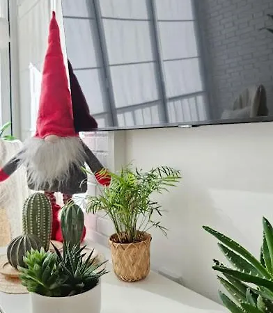 Boho Arenal Bol Calpe