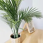 Lejlighed Boho Arenal Bol Calpe