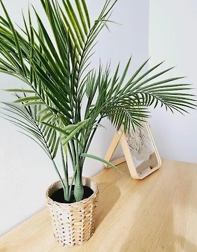 Apartment Boho Arenal Bol Calpe